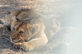 Tanzania