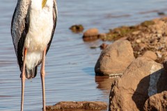 Lake Manyara