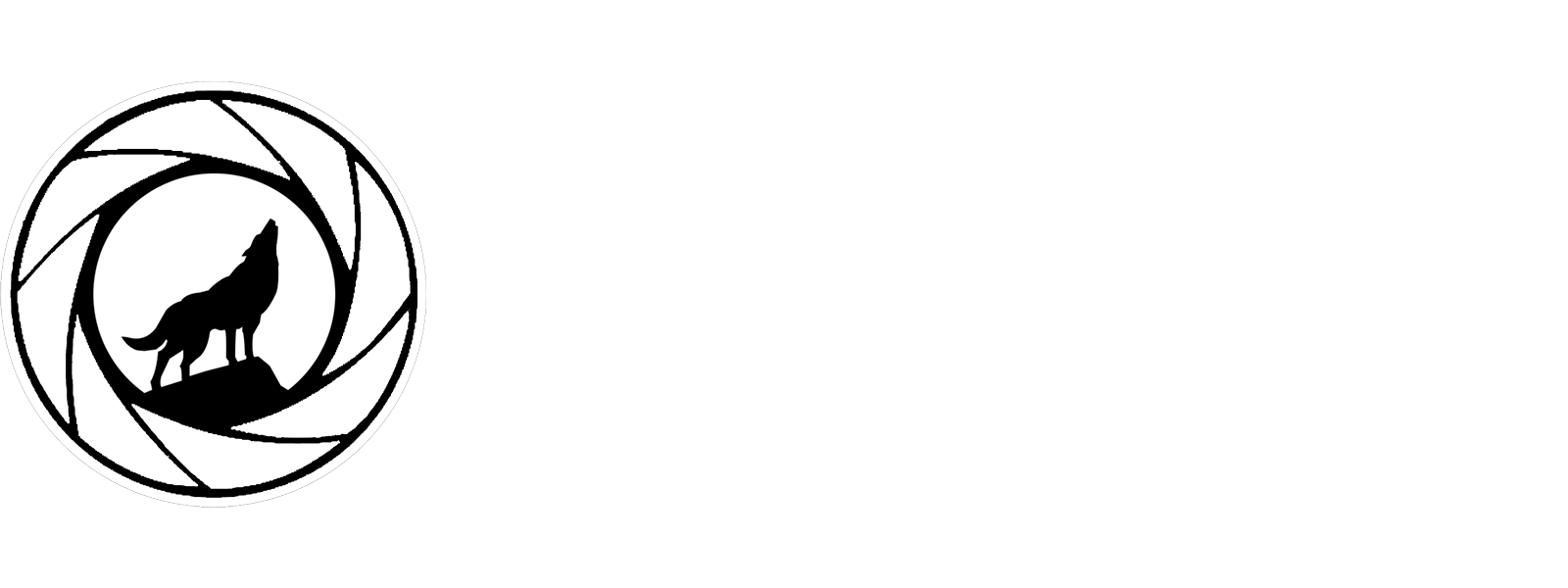Luca Sartori